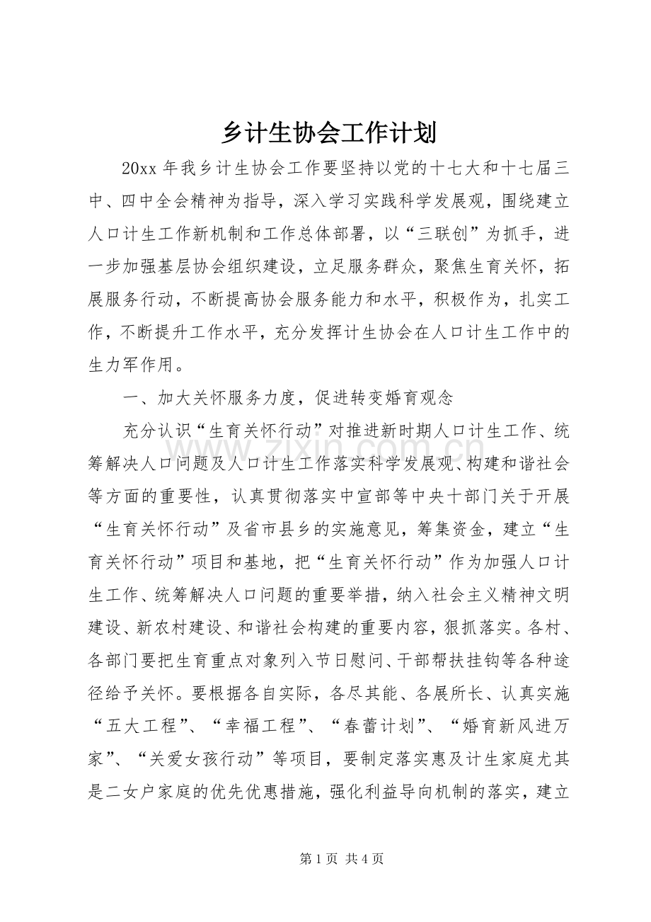 乡计生协会工作计划 .docx_第1页