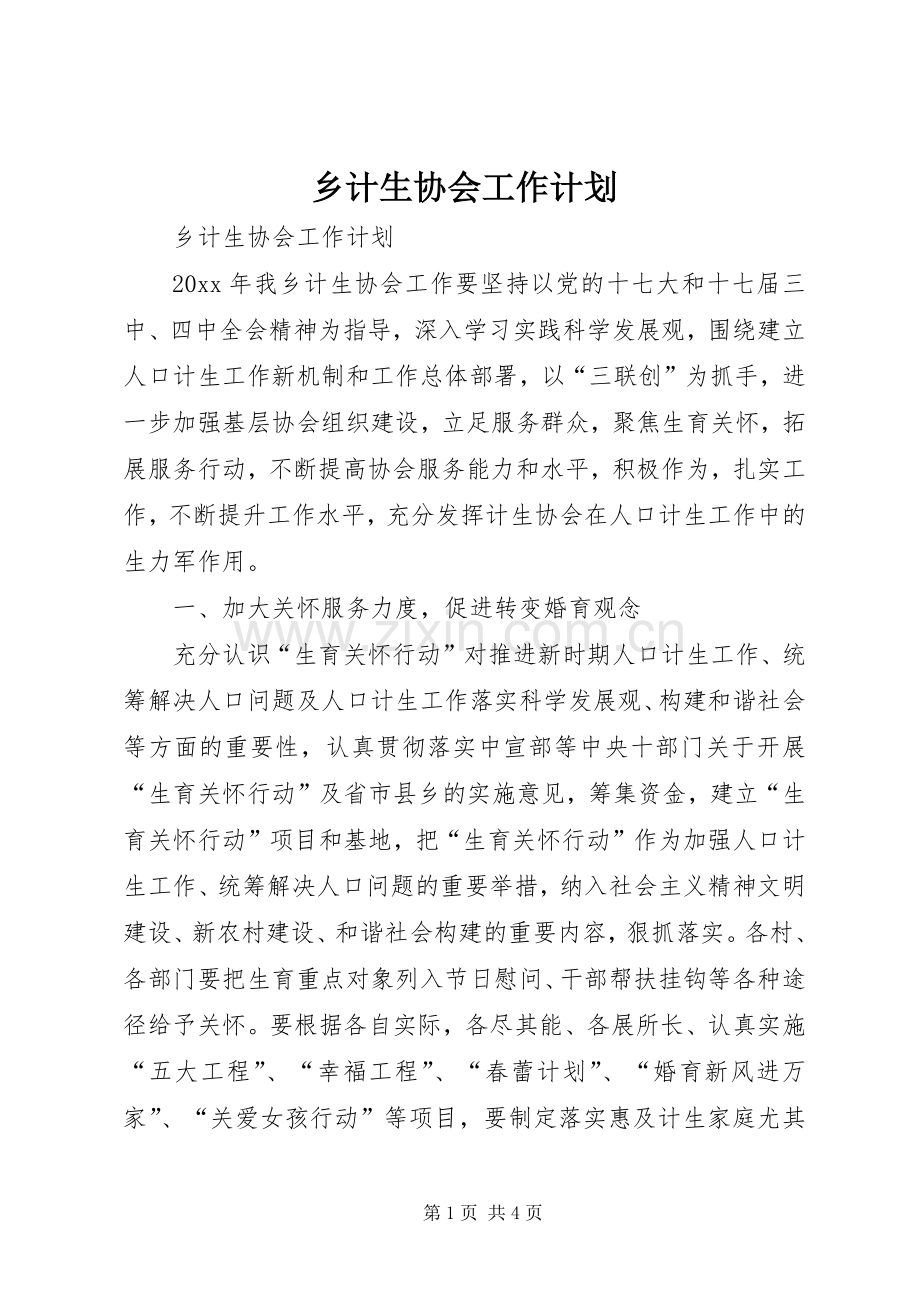 乡计生协会工作计划.docx_第1页