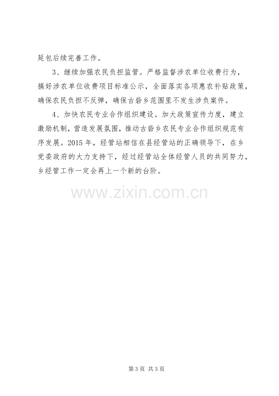 XX年乡镇经管站工作总结及XX年工作计划.docx_第3页