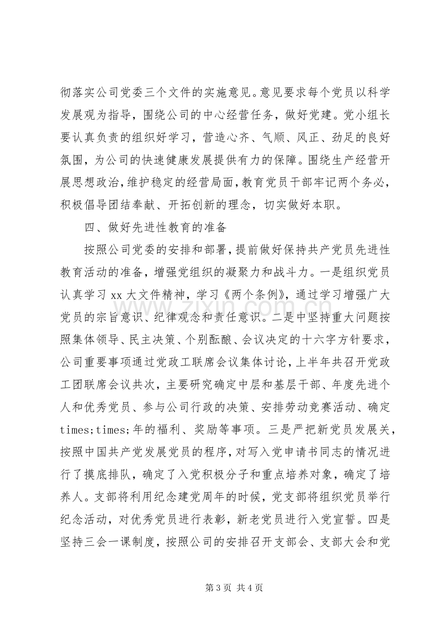 20XX年党支部半年工作总结及下半年计划 .docx_第3页