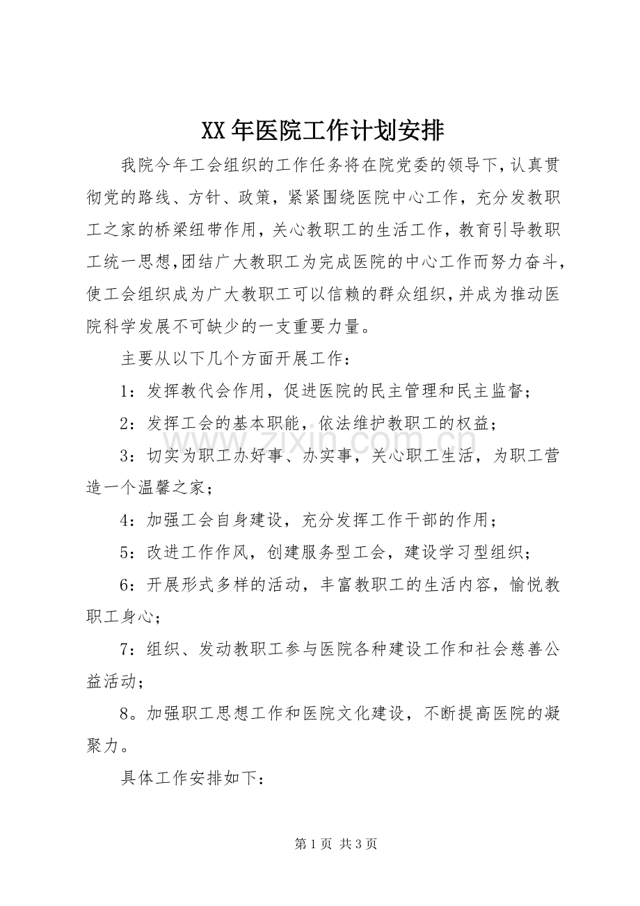 XX年医院工作计划安排.docx_第1页