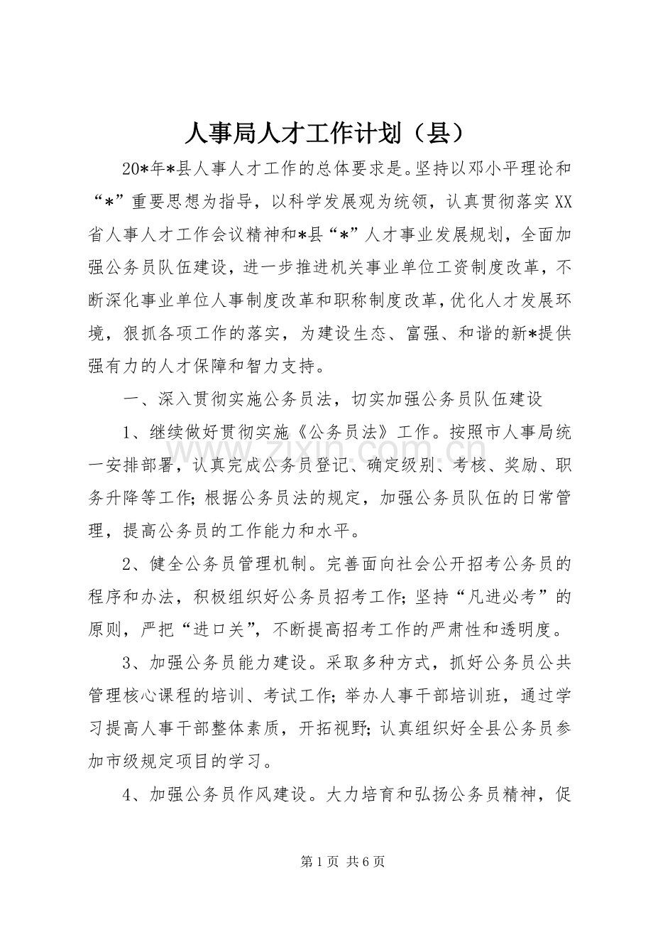 人事局人才工作计划（县）.docx_第1页