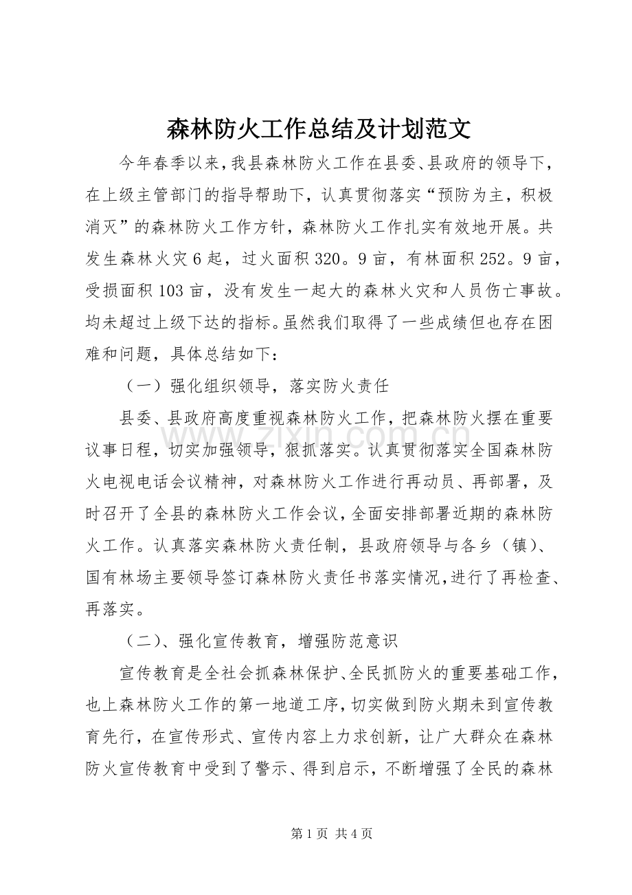 森林防火工作总结及计划范文.docx_第1页