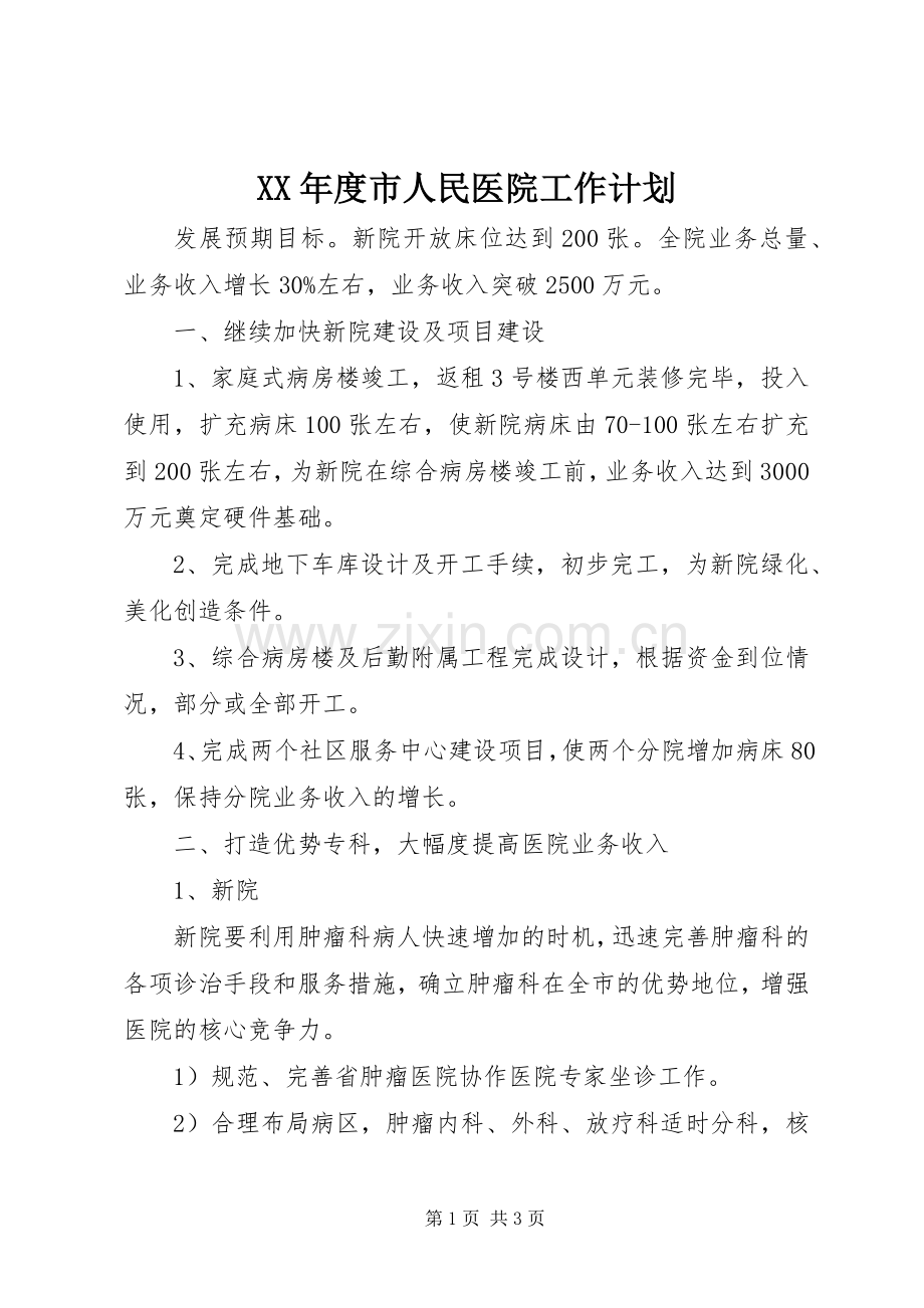 XX年度市人民医院工作计划 .docx_第1页