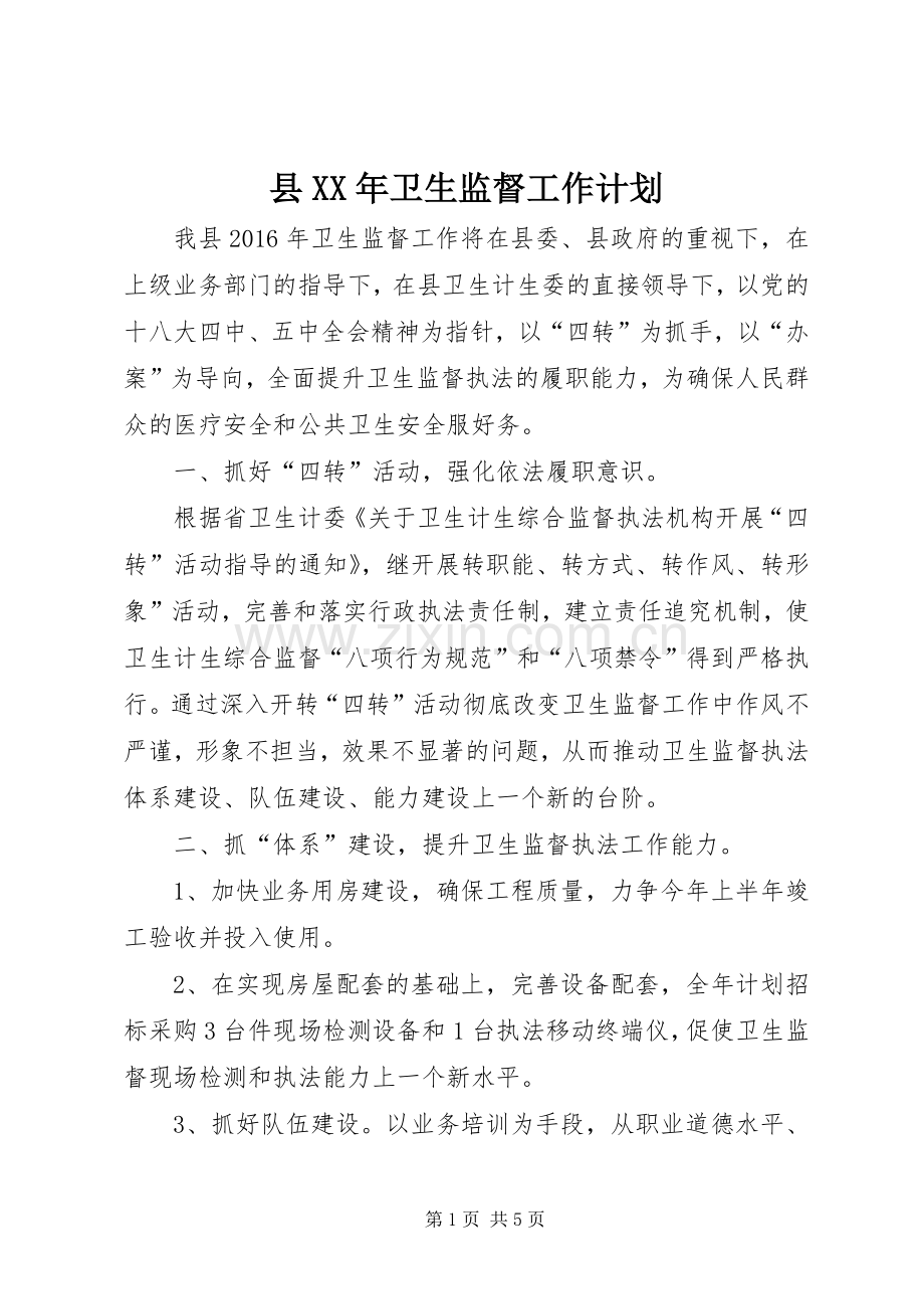 县XX年卫生监督工作计划.docx_第1页