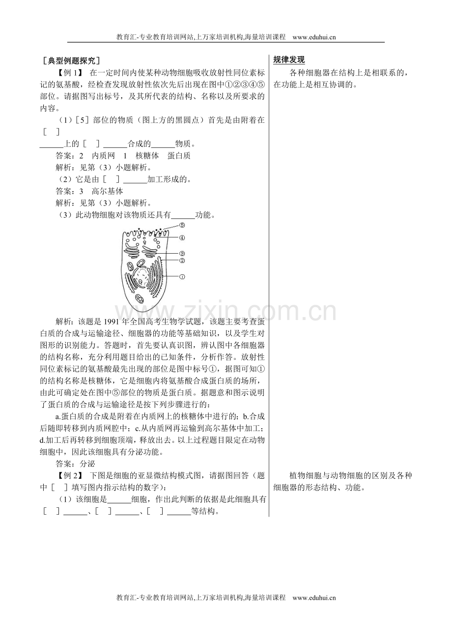 人教新课标高中生物必修一知识点例题剖析（细胞器——系统内的分工合作）.doc_第1页