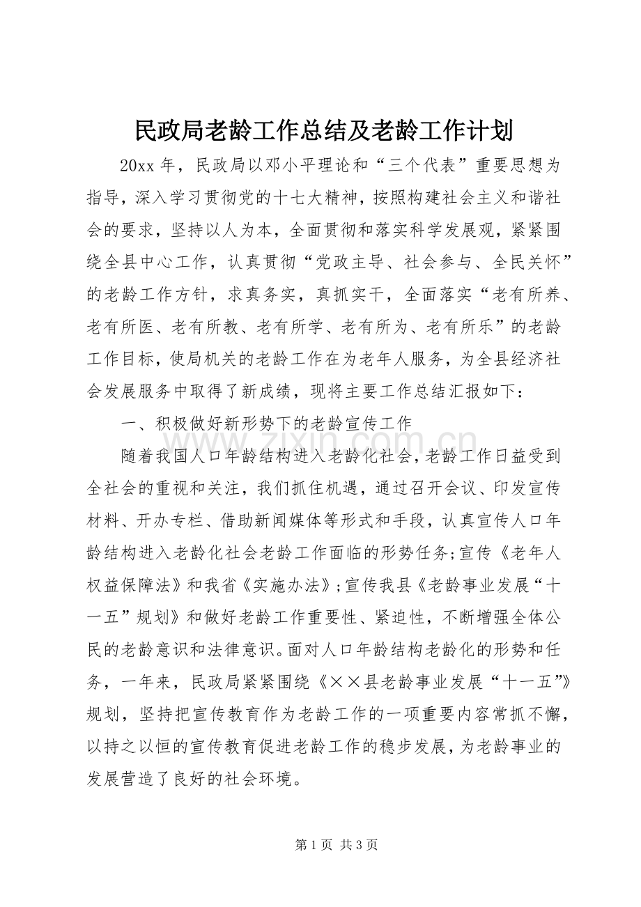 民政局老龄工作总结及老龄工作计划.docx_第1页