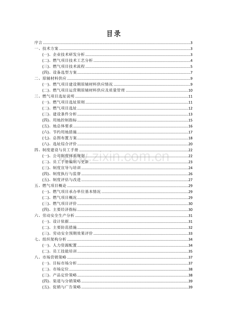 燃气项目可行性分析报告.docx_第2页