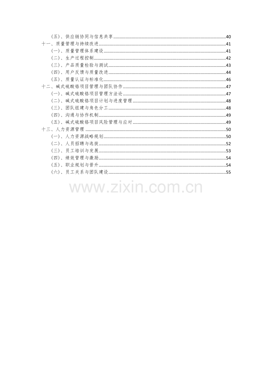 碱式硫酸铬项目可行性分析报告.docx_第3页