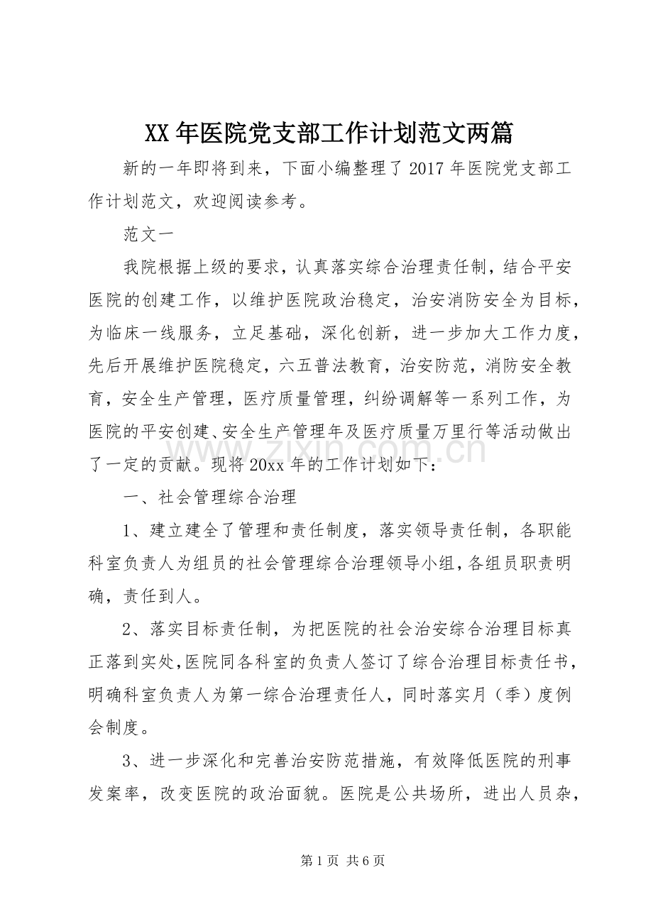 XX年医院党支部工作计划范文两篇.docx_第1页