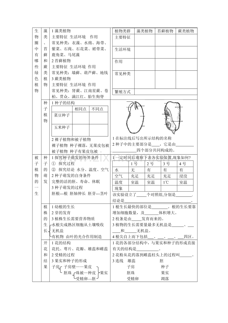 初中生物总复习(全套教桉兼学桉).doc_第3页