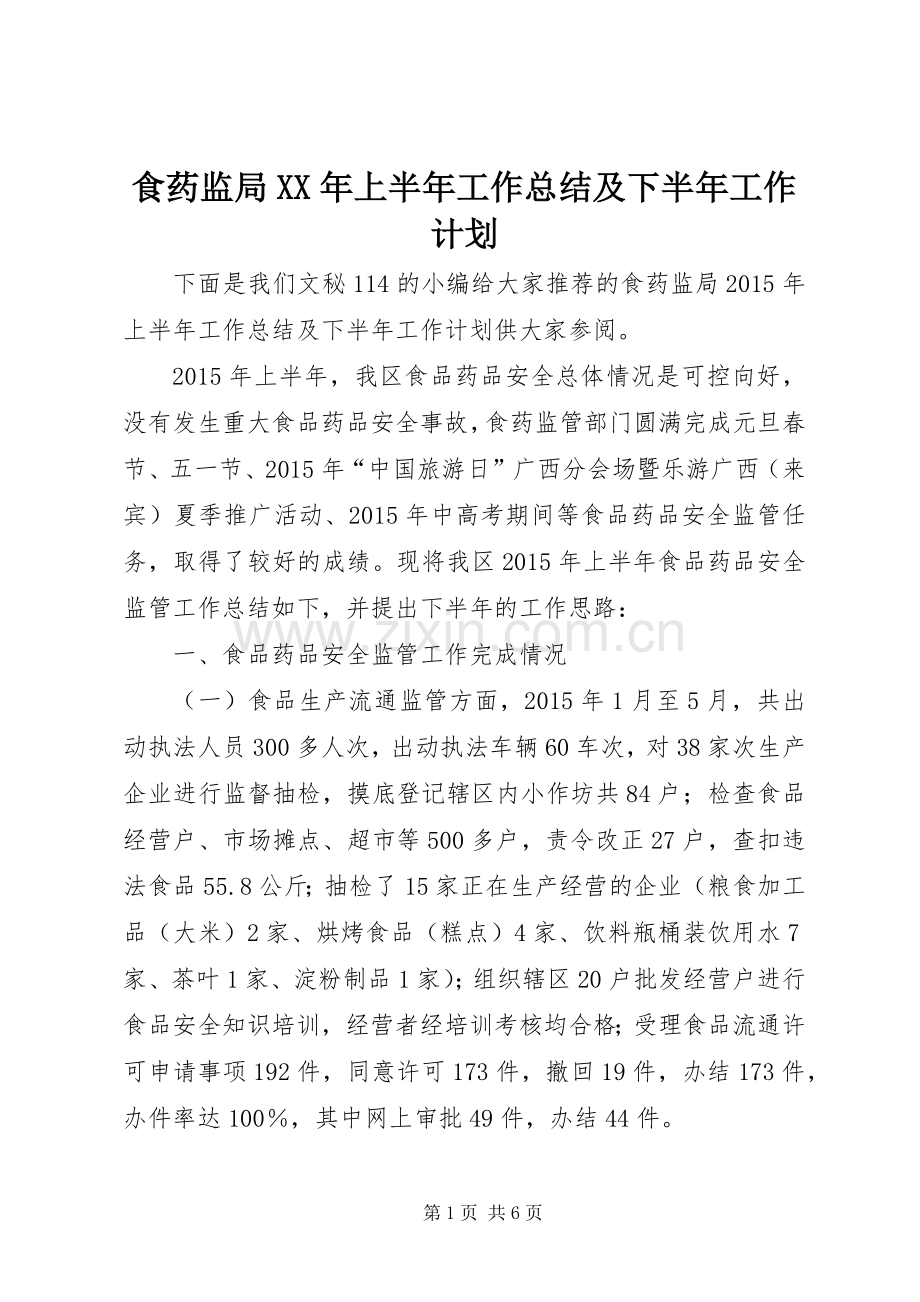 食药监局XX年上半年工作总结及下半年工作计划_1.docx_第1页