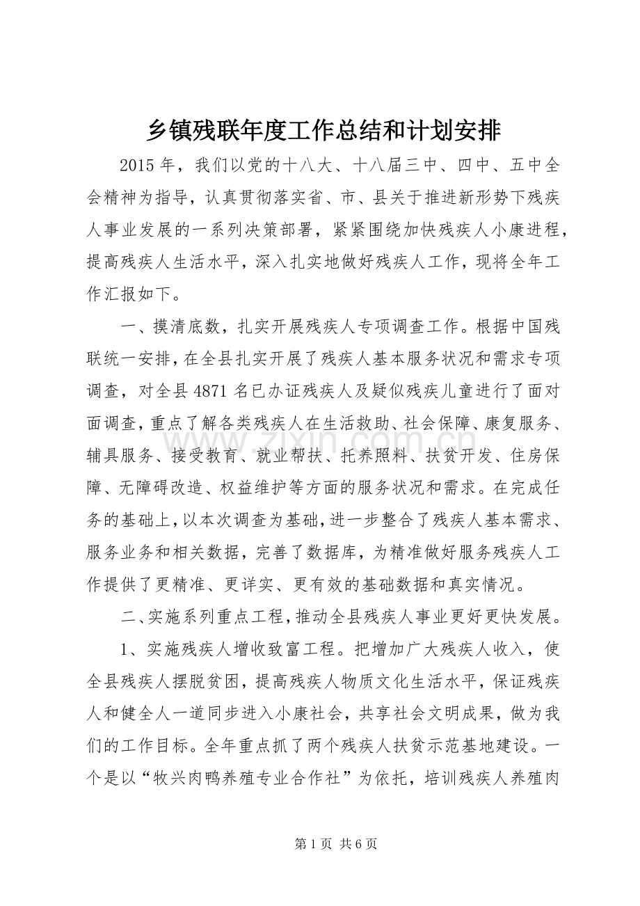 乡镇残联年度工作总结和计划安排.docx_第1页