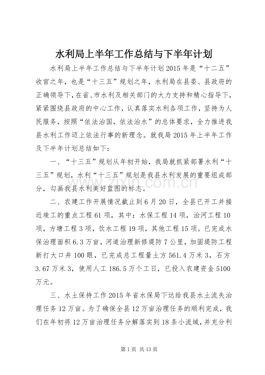 水利局上半年工作总结与下半年计划.docx_第1页