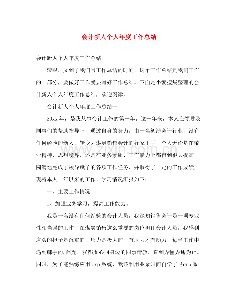 会计新人个人年度工作总结 .docx_第1页