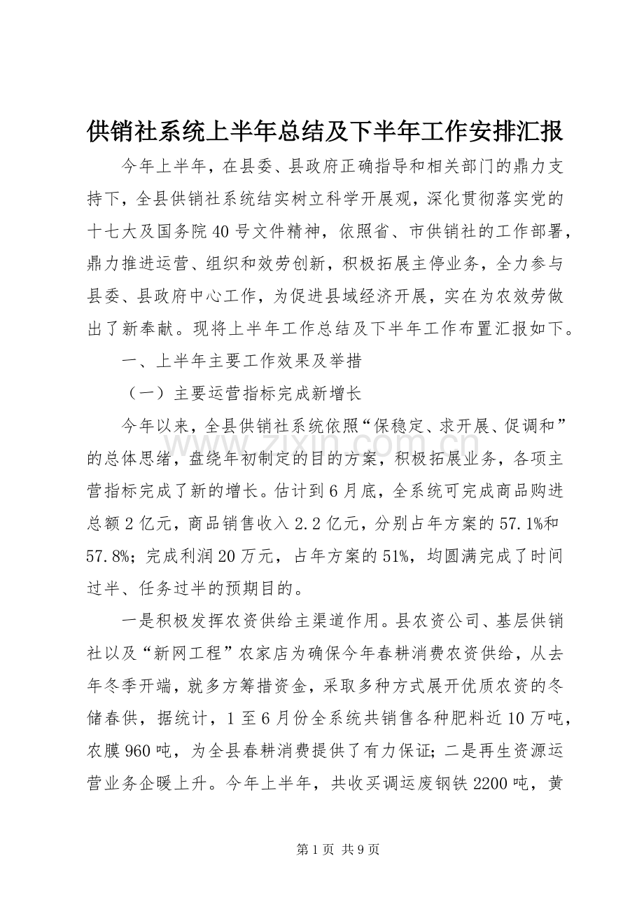 供销社系统上半年总结及下半年工作安排汇报.docx_第1页