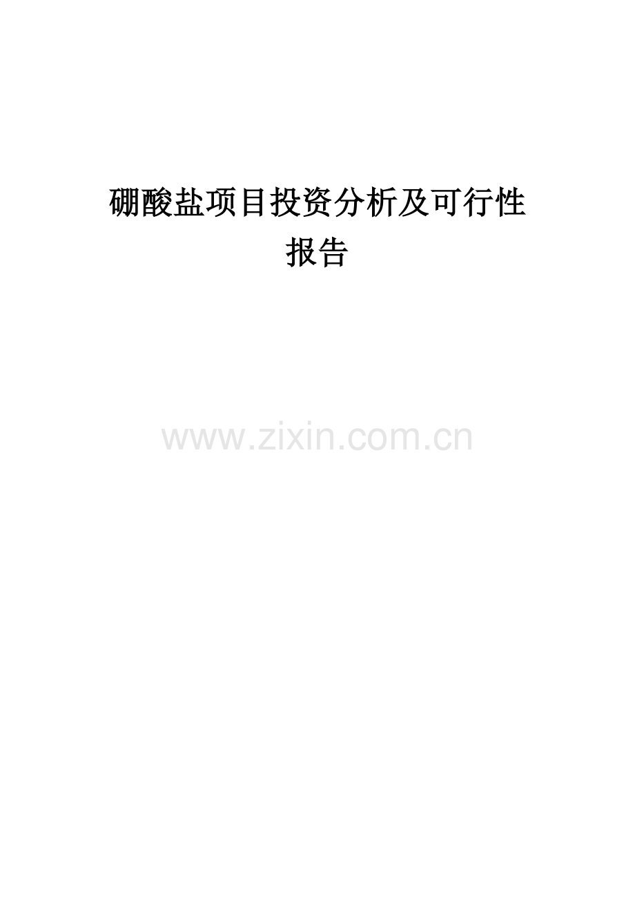 硼酸盐项目投资分析及可行性报告.docx_第1页