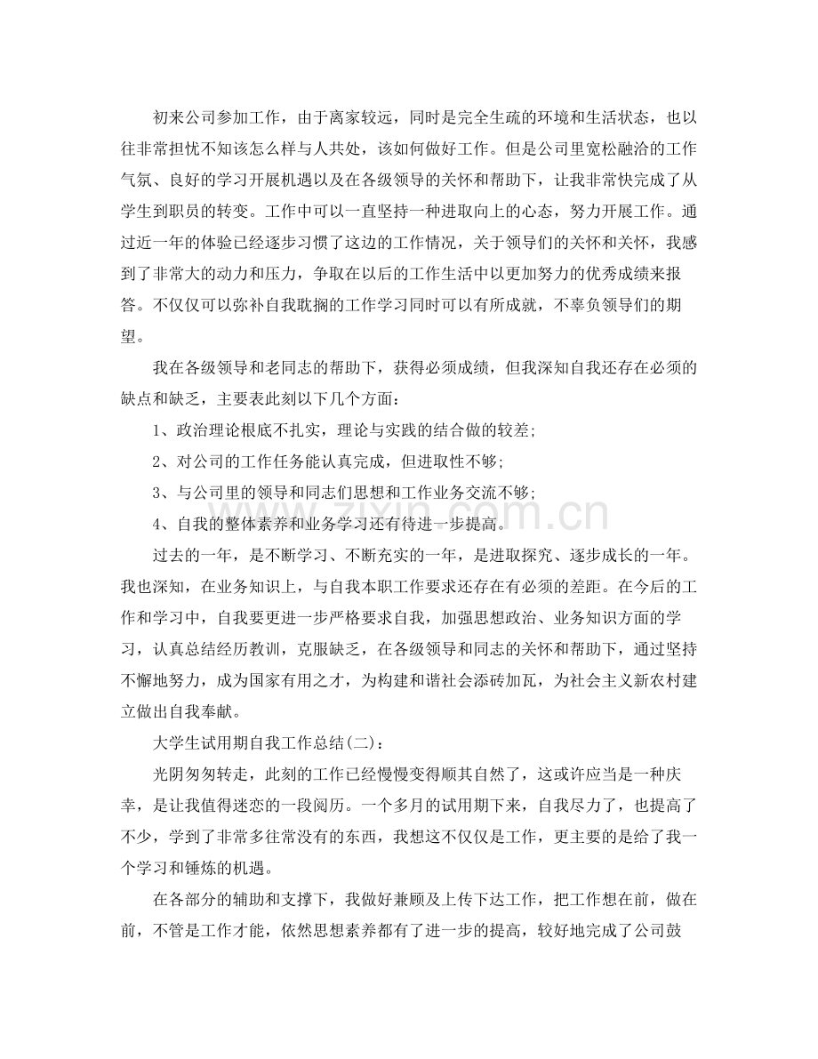 大学生试用期自我工作参考总结.docx_第2页