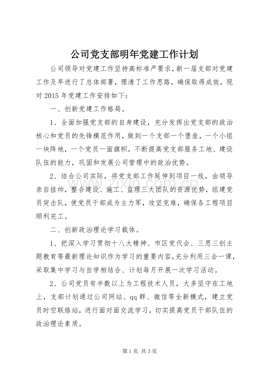 公司党支部明年党建工作计划.docx_第1页