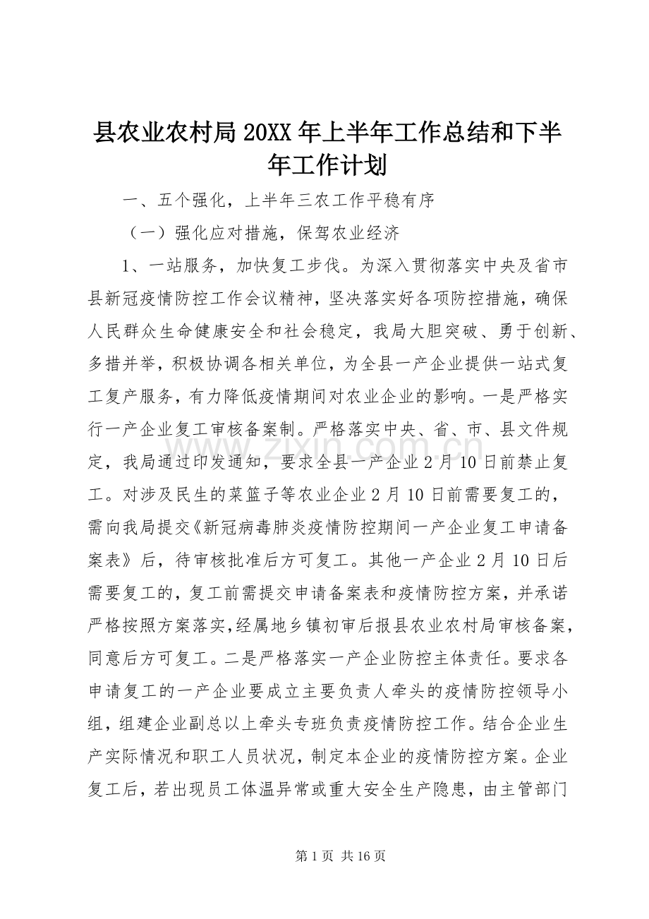 县农业农村局20XX年上半年工作总结和下半年工作计划.docx_第1页