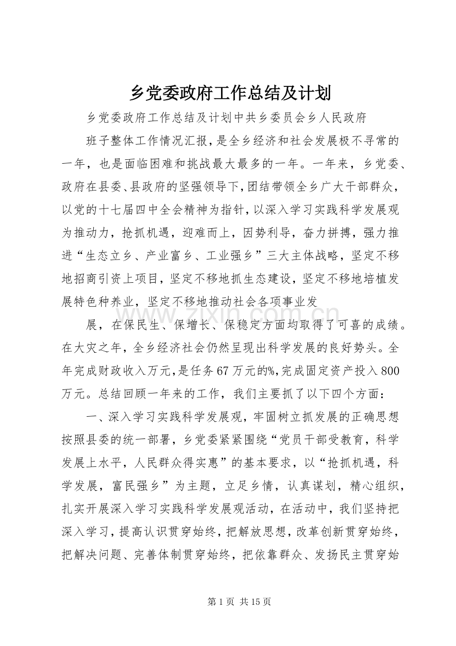 乡党委政府工作总结及计划.docx_第1页