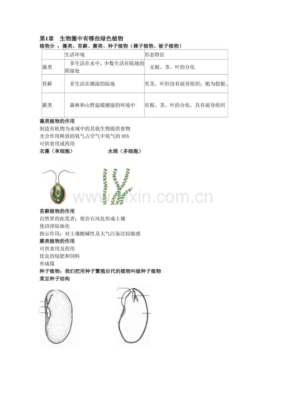 山东初中四年制初一下生物复习提纲.doc_第1页