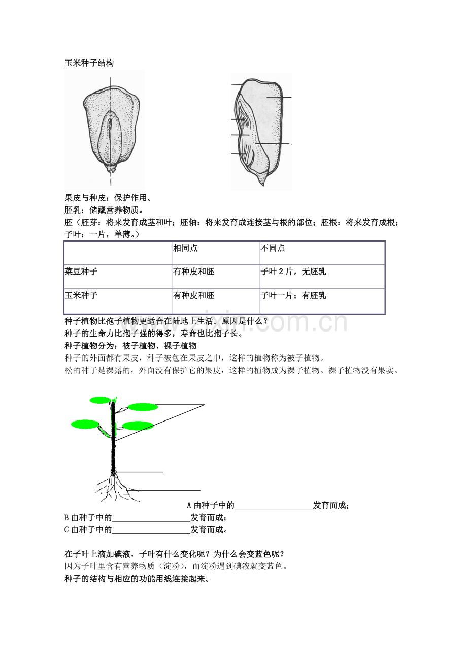 山东初中四年制初一下生物复习提纲.doc_第2页