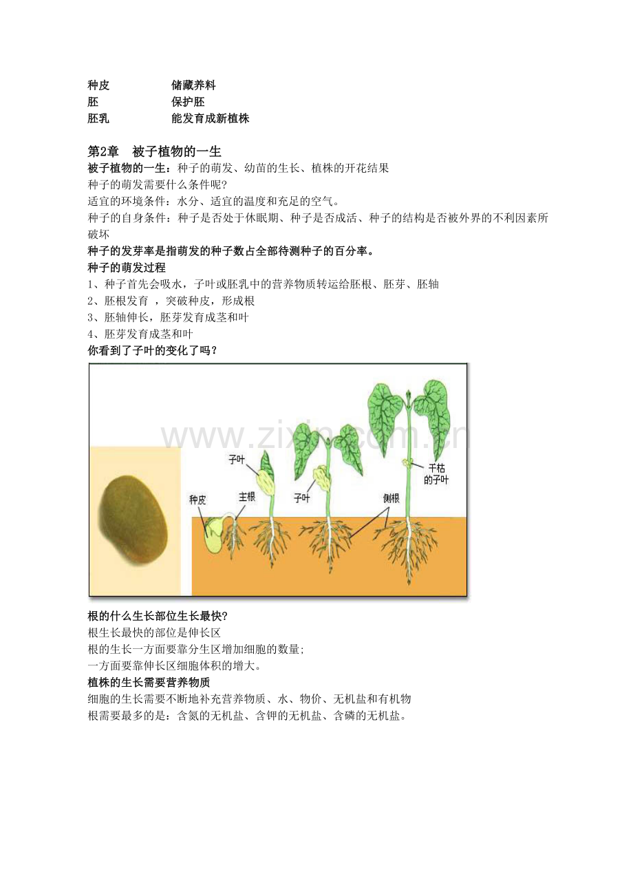 山东初中四年制初一下生物复习提纲.doc_第3页