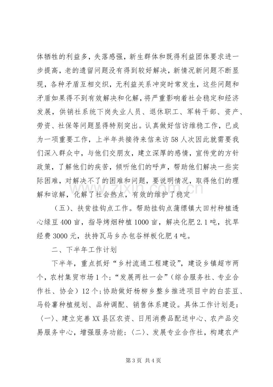 供销社上半年工作总结下半年工作计划.docx_第3页