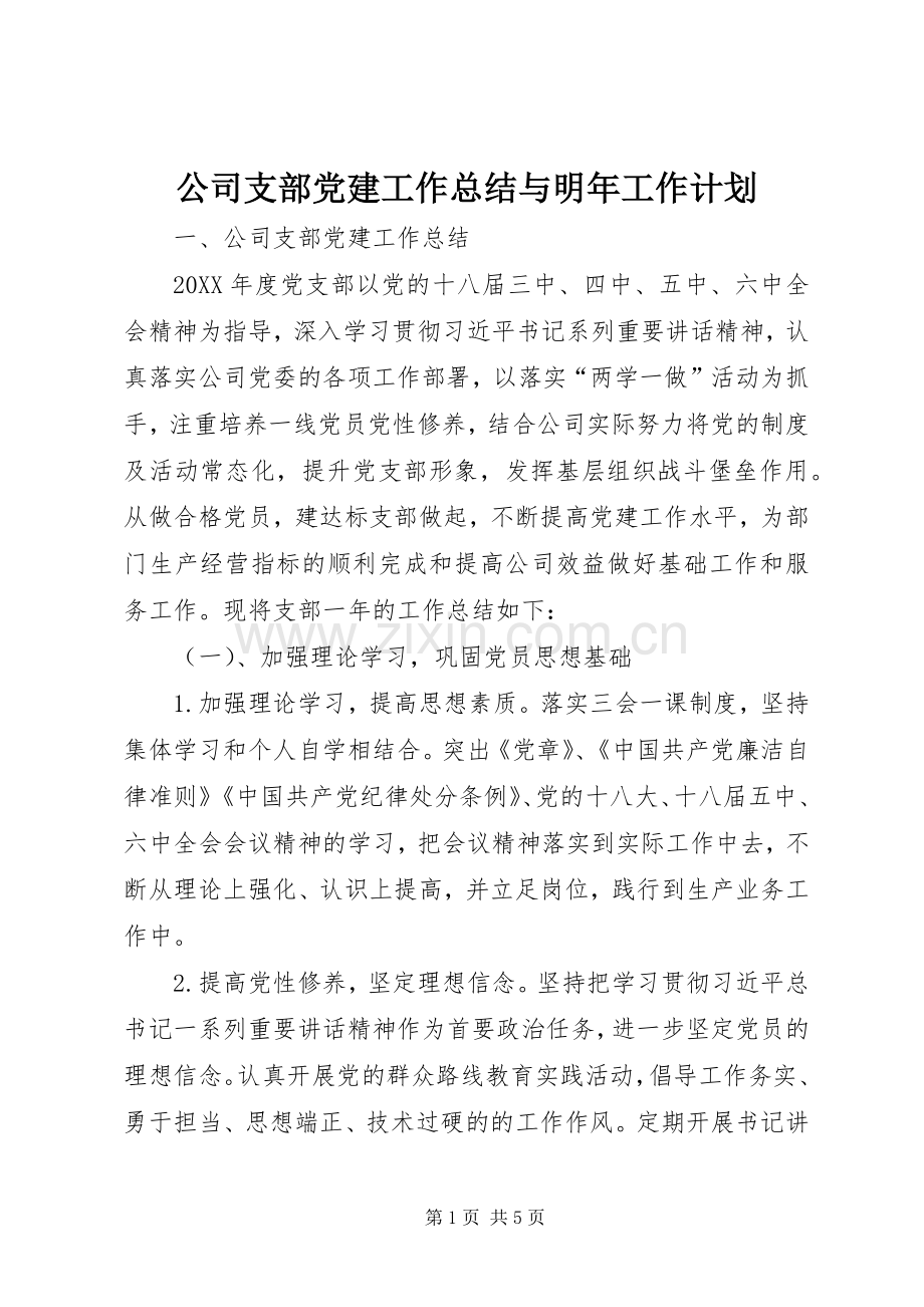 公司支部党建工作总结与明年工作计划.docx_第1页