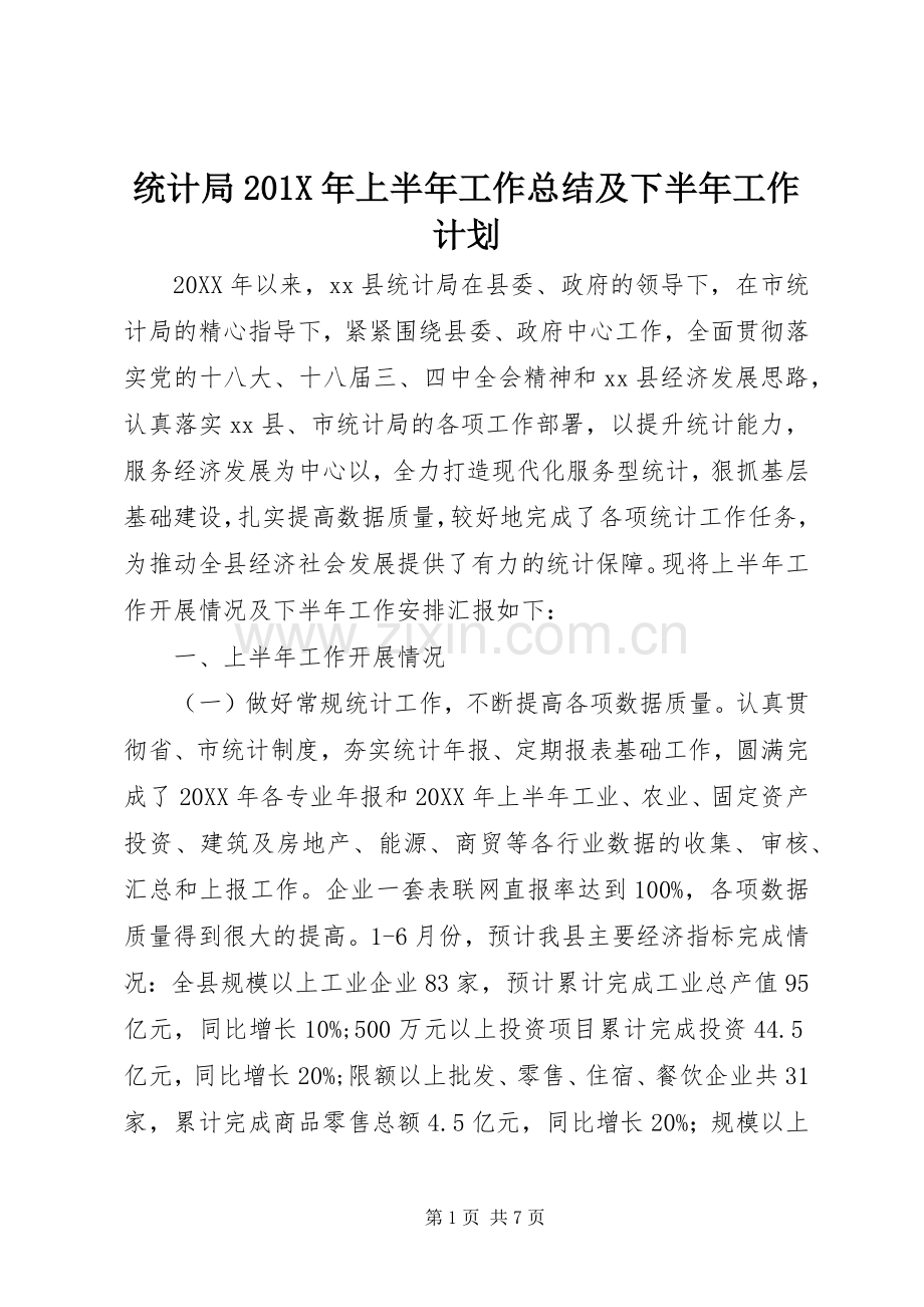 统计局201X年上半年工作总结及下半年工作计划.docx_第1页