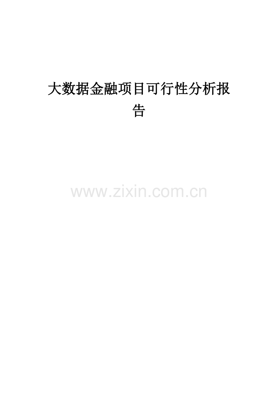 大数据金融项目可行性分析报告.docx_第1页