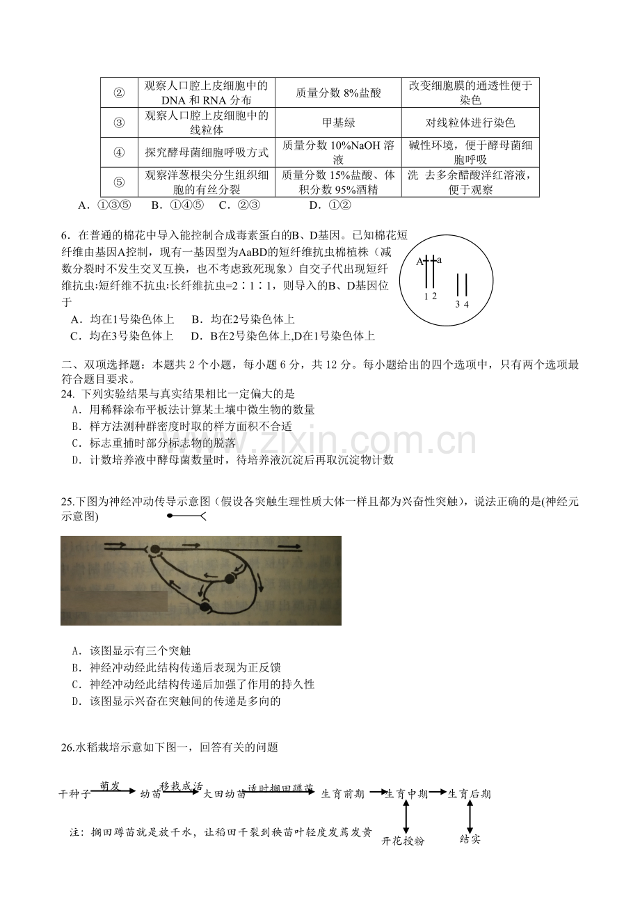 广东省惠州市2015届高三4月模拟理综生物试卷.doc_第2页