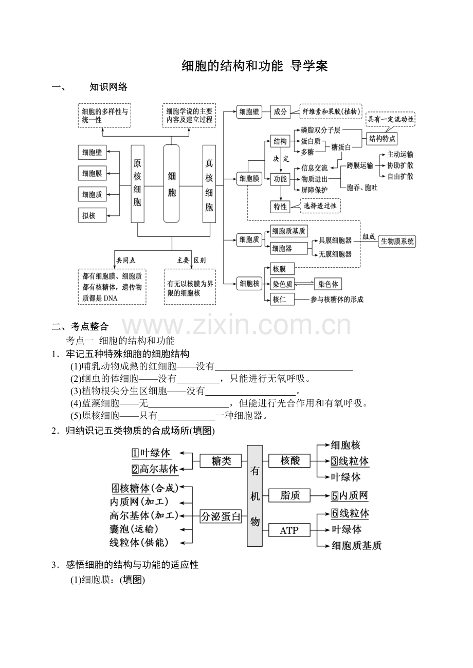 细胞的结构和功能导学案.doc_第1页