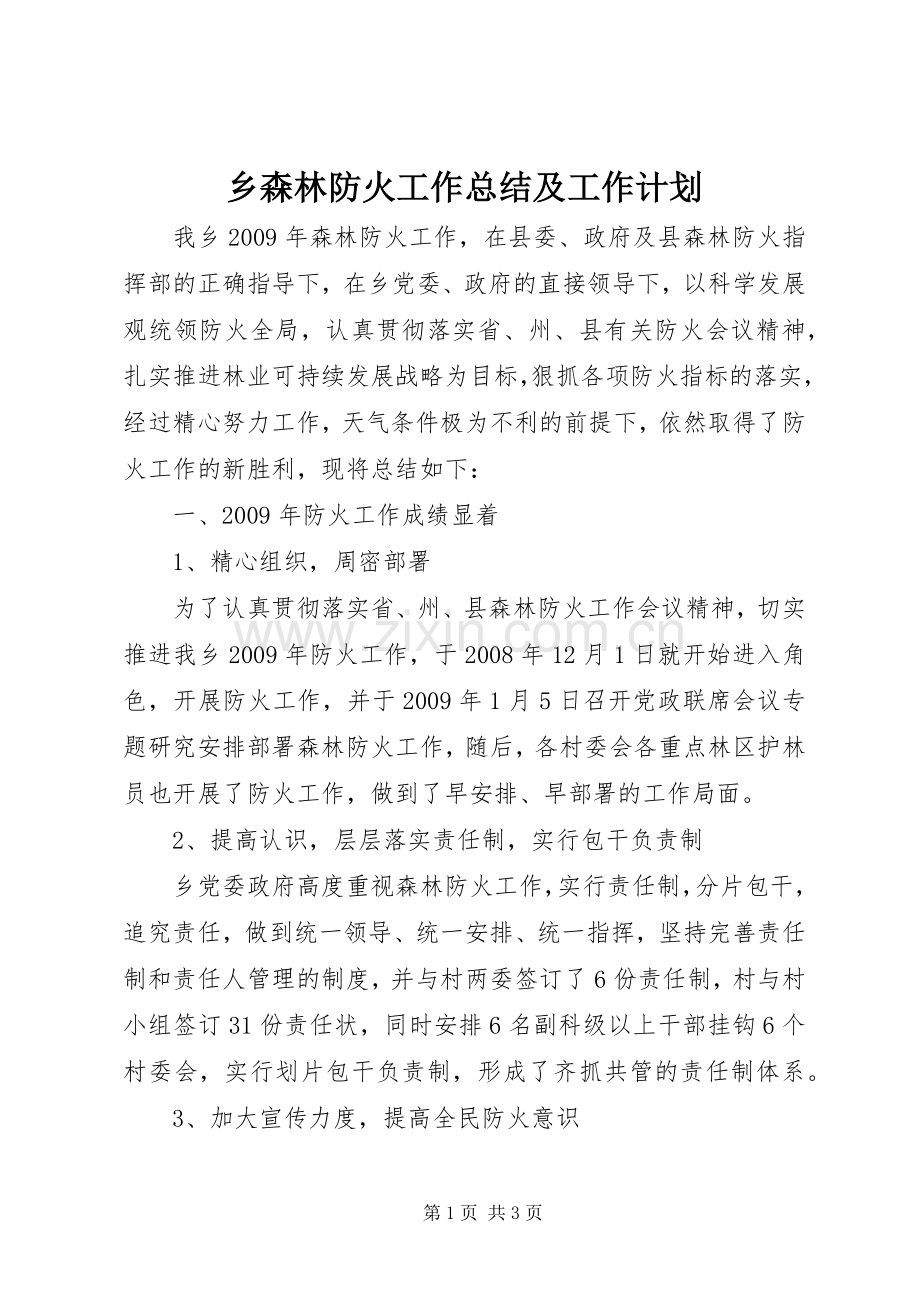 乡森林防火工作总结及工作计划.docx_第1页