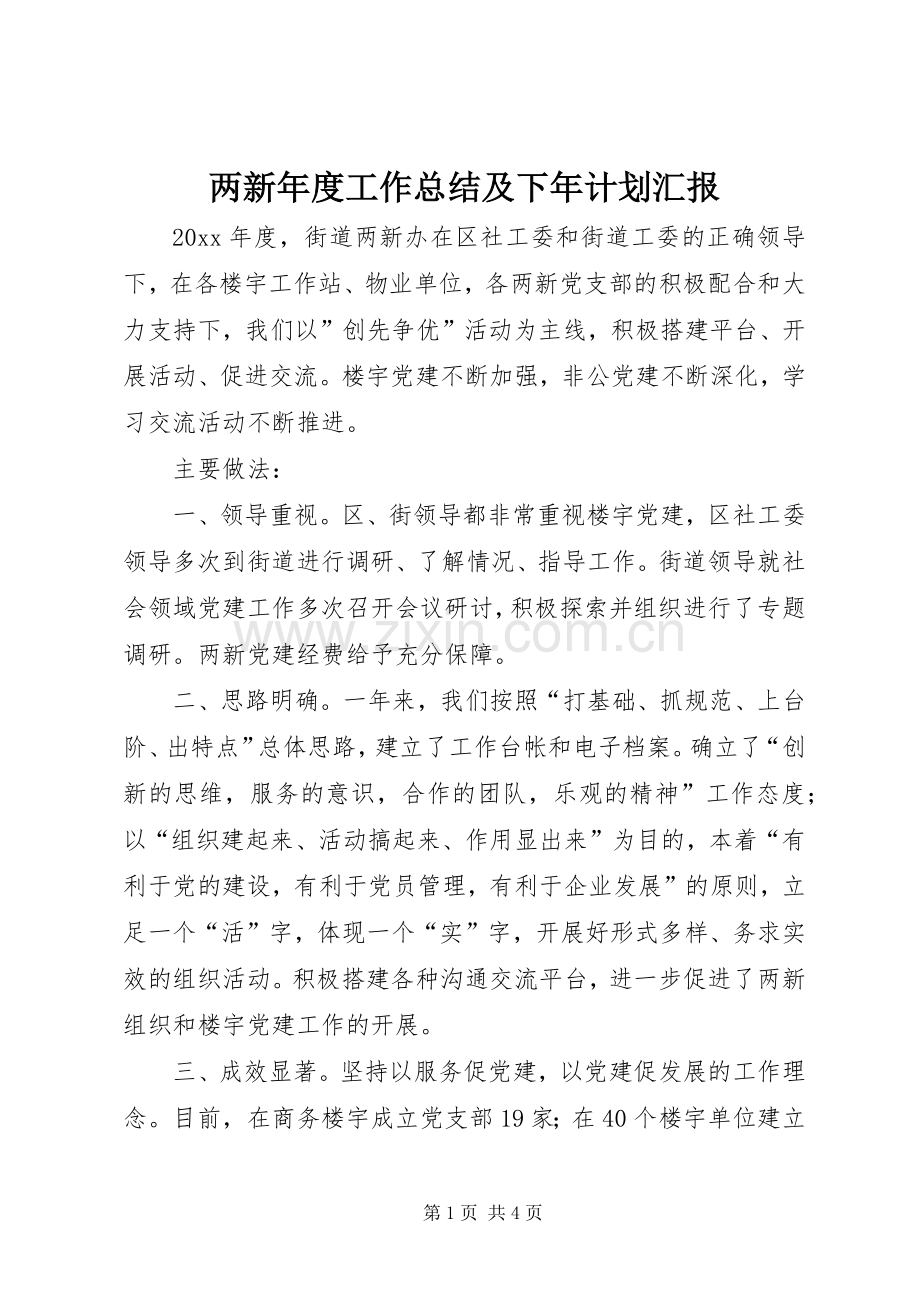 两新年度工作总结及下年计划汇报.docx_第1页