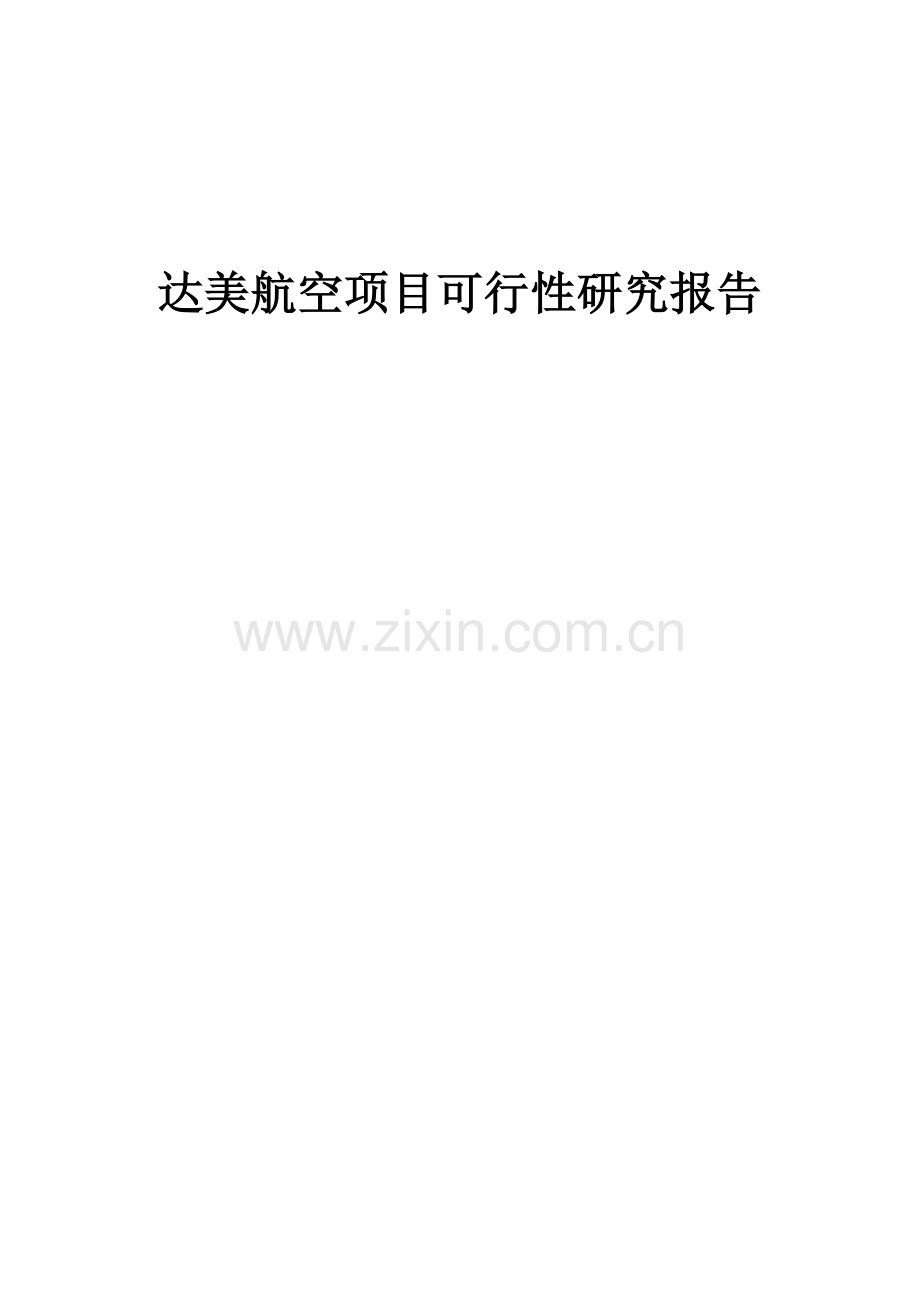 达美航空项目可行性研究报告.docx_第1页