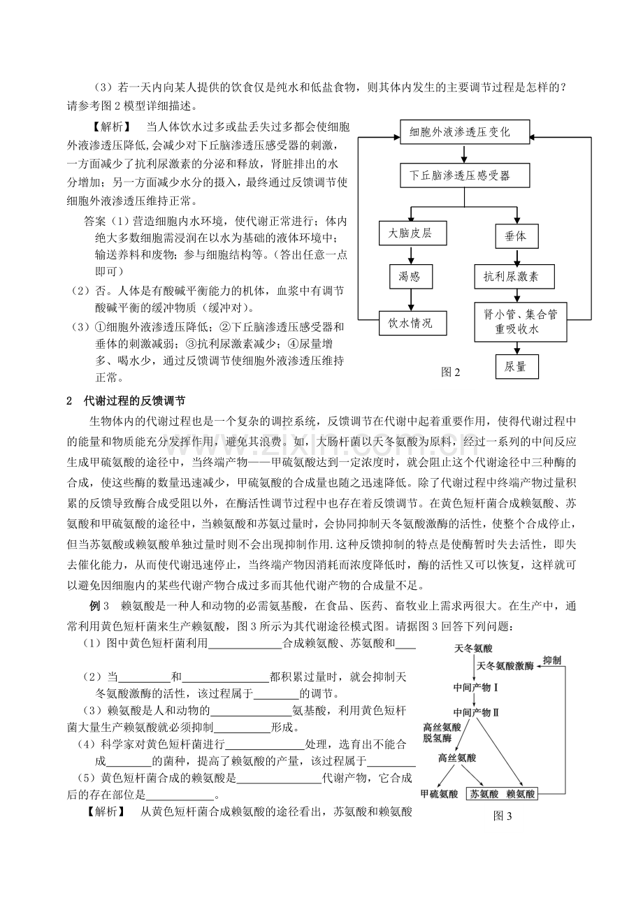 例析高中生物中的几种反馈调节模型.doc_第2页