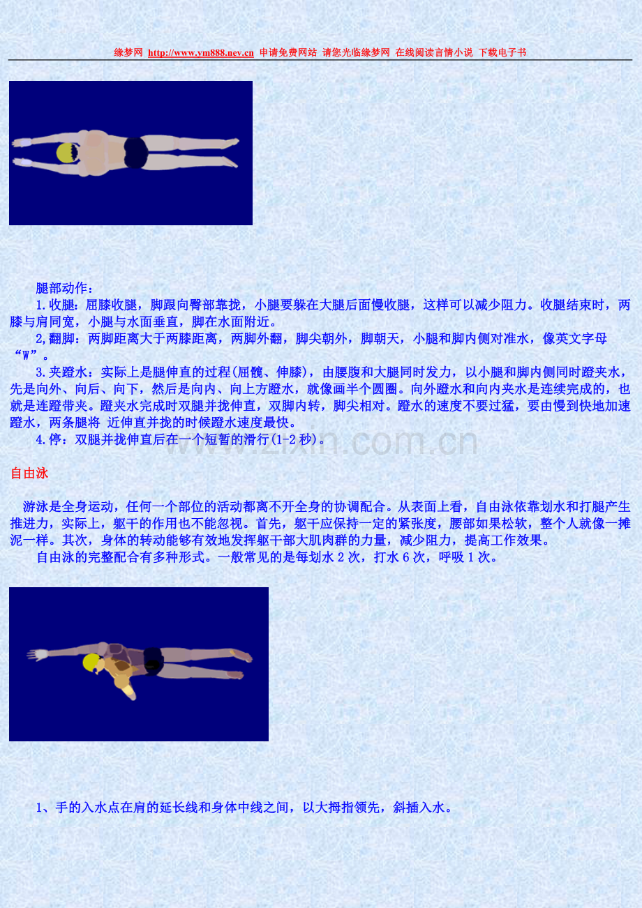 自学游泳：蛙泳、自由泳、仰泳、蝶泳等技术动作详细说明（有图示）.doc_第2页