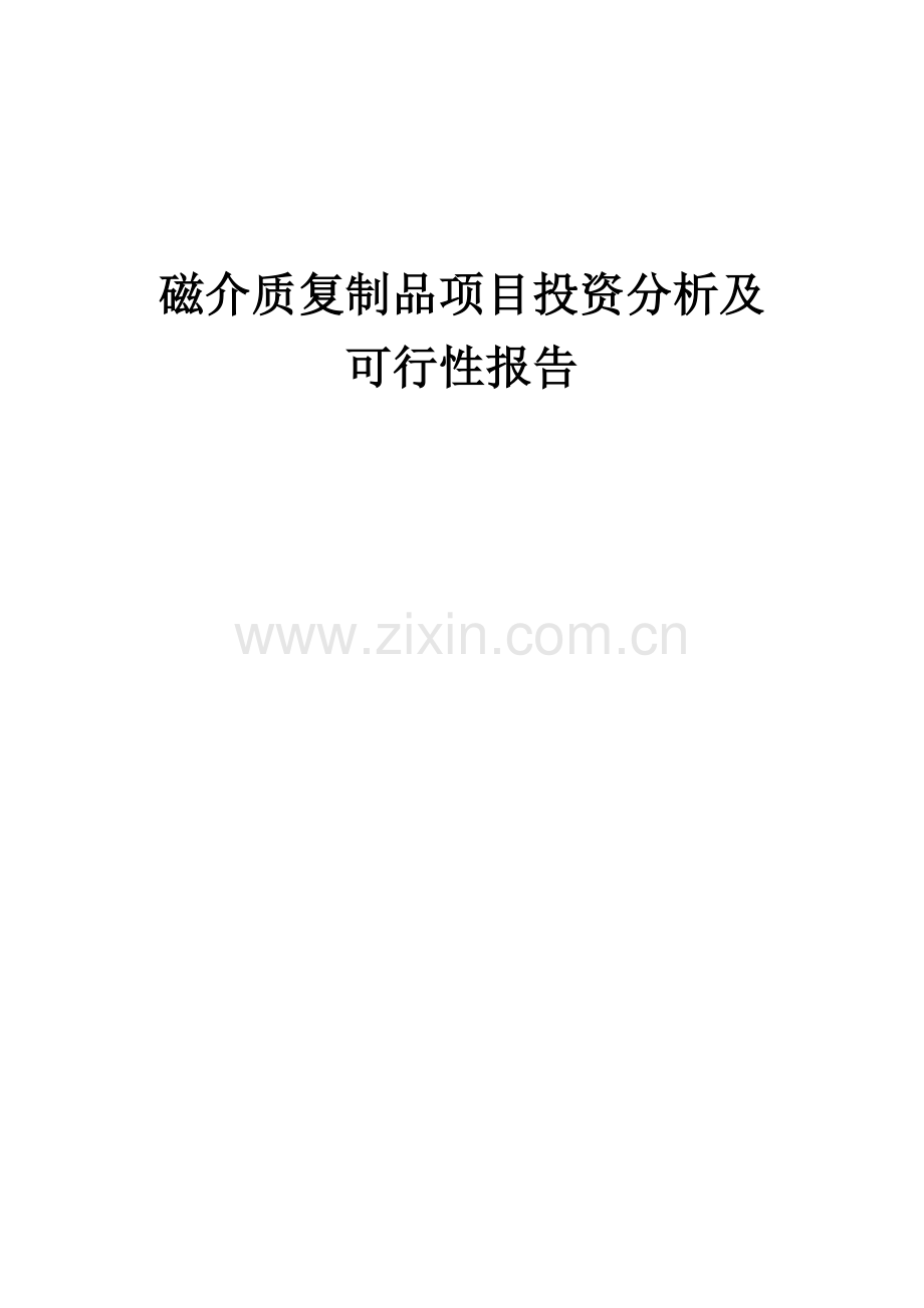 磁介质复制品项目投资分析及可行性报告.docx_第1页