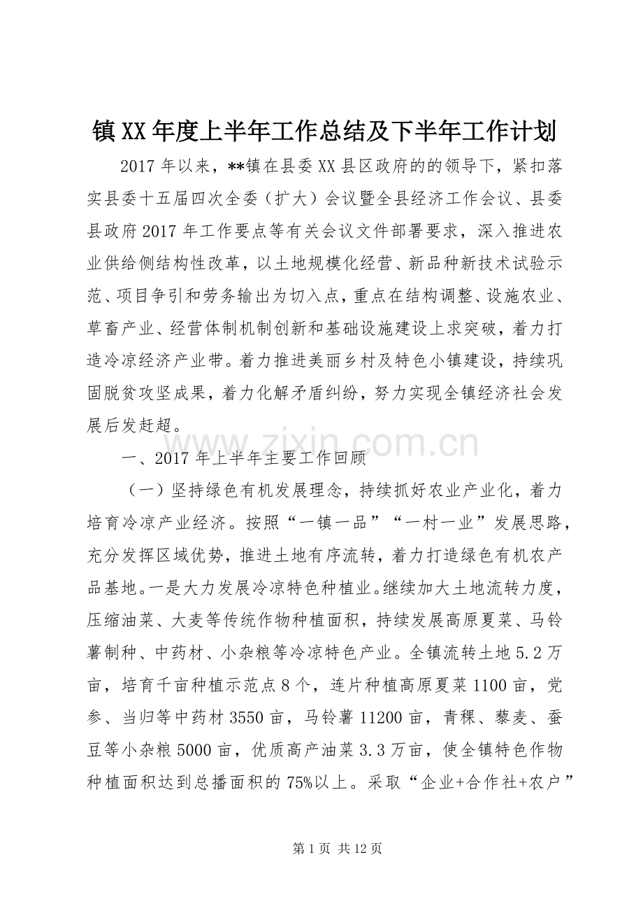 镇XX年度上半年工作总结及下半年工作计划 .docx_第1页