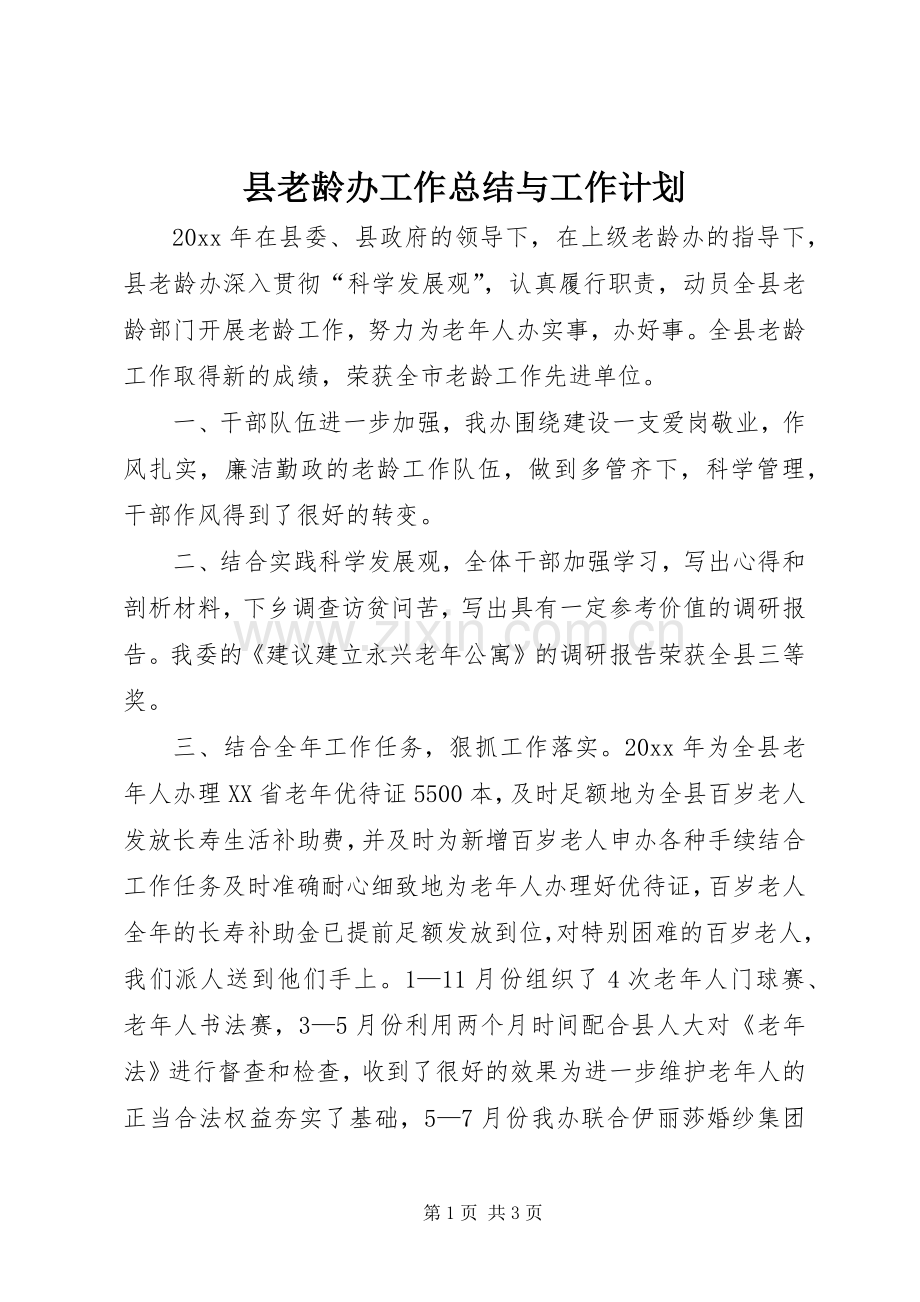 县老龄办工作总结与工作计划 .docx_第1页