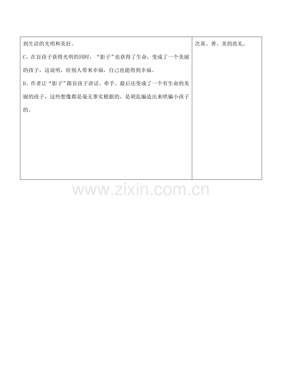 湖南省长沙市望城区金海双语实验学校语文七年级语文上册 29 盲孩子和他的影子教案 （新版）新人教版.doc_第3页