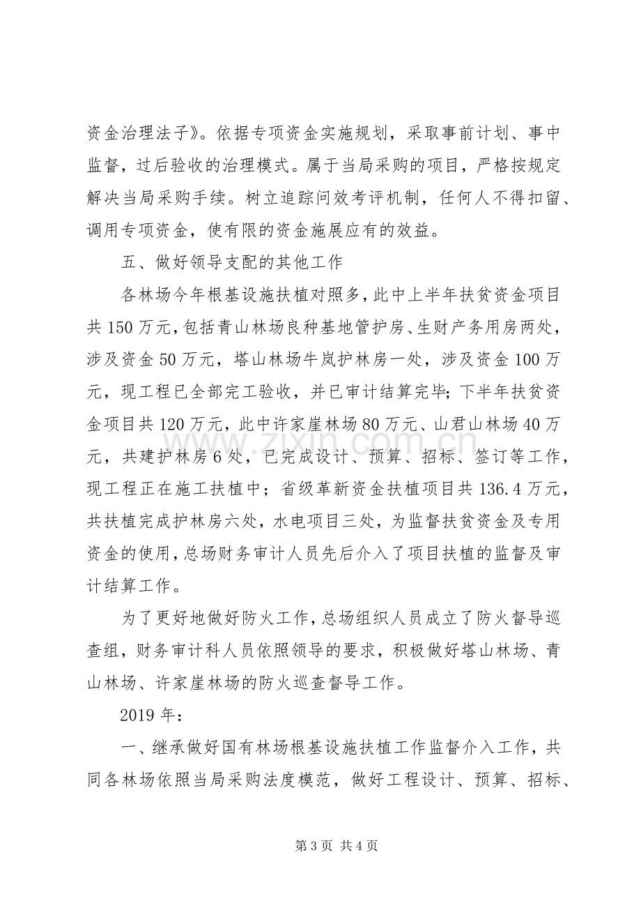 财务审计科工作总结及工作计划.docx_第3页