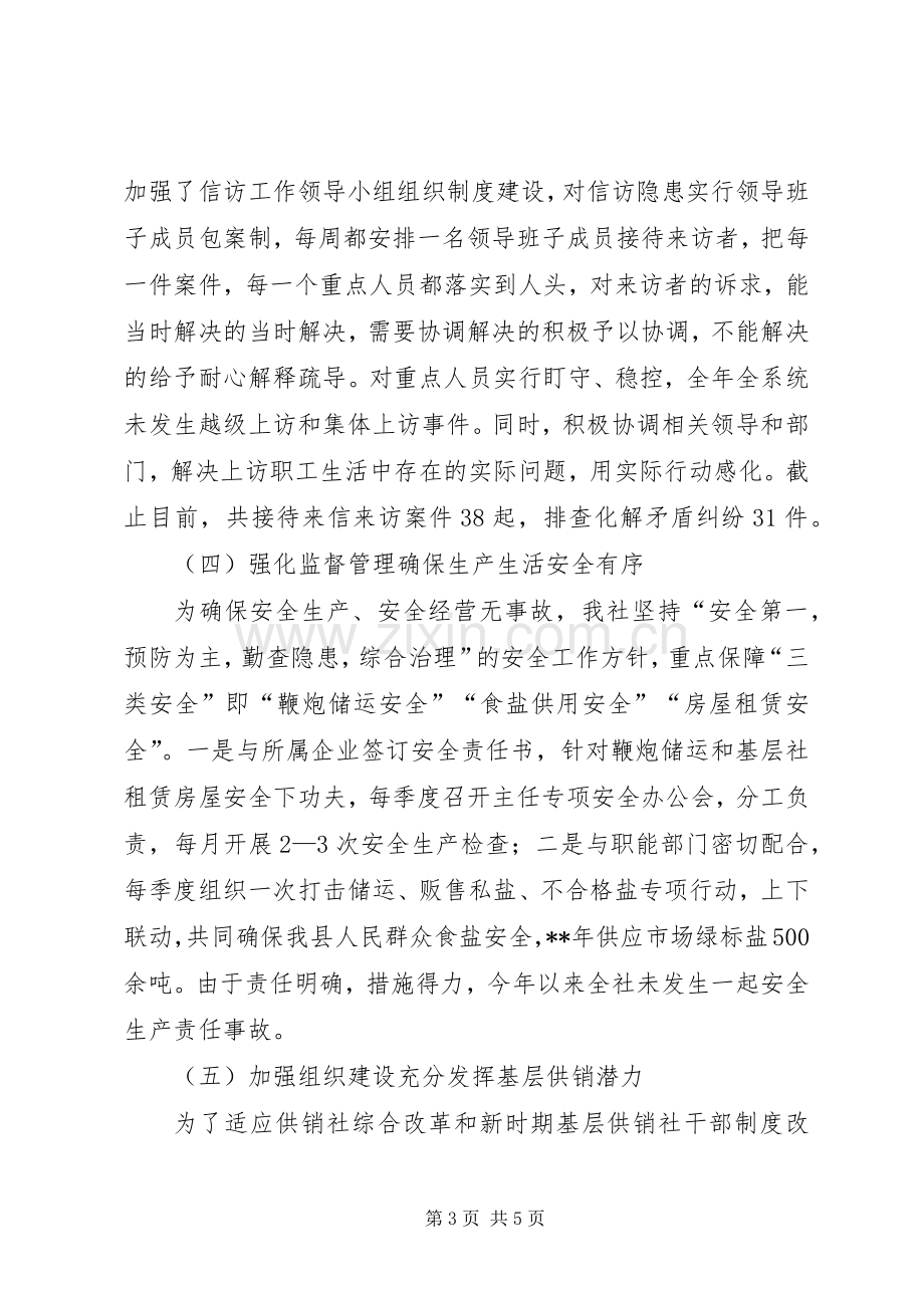 供销社工作总结暨工作安排.docx_第3页