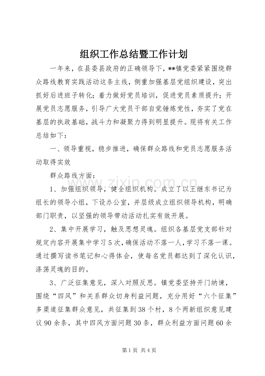 组织工作总结暨工作计划.docx_第1页