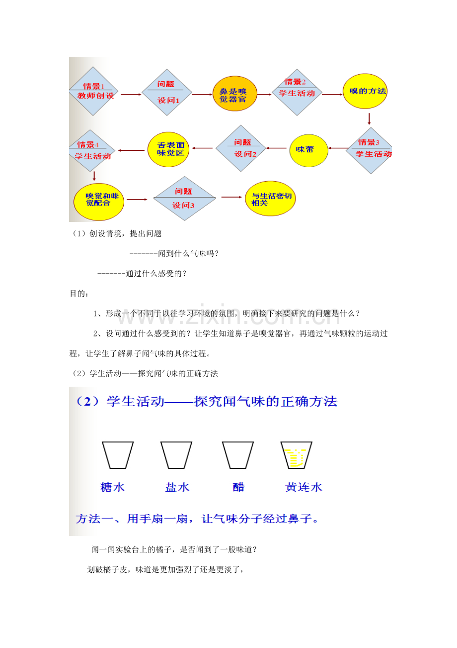 春八年级科学下册 3.4《味觉与嗅觉》教案 （新版）华东师大版-（新版）华东师大版初中八年级下册自然科学教案.doc_第2页