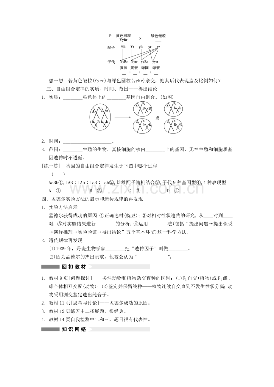 【步步高】2013高考生物大一轮复习-第16课时-孟德尔的豌豆杂交实验(二).doc_第2页