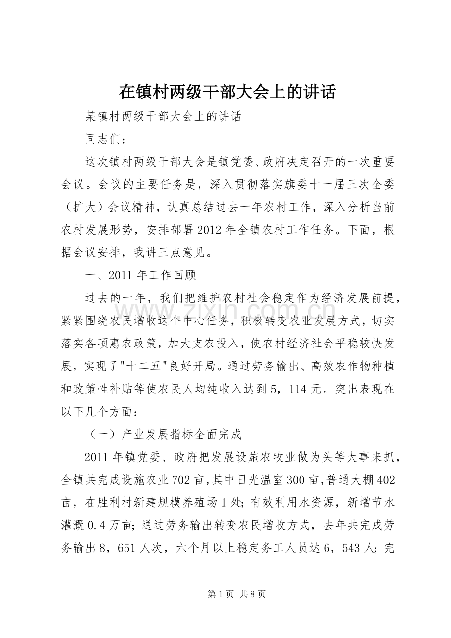 在镇村两级干部大会上的讲话发言.docx_第1页