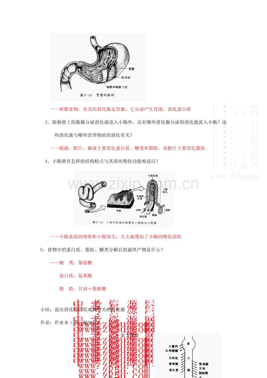 九年级科学上：第4章第2节 食物的消化与吸收教案2浙教版.doc_第3页